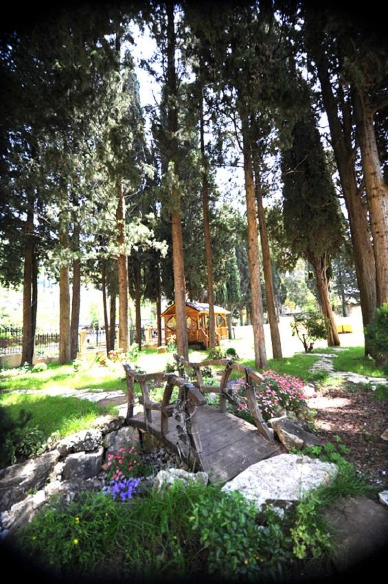 Lazurniy Bereg Hotel Gagra Exterior photo